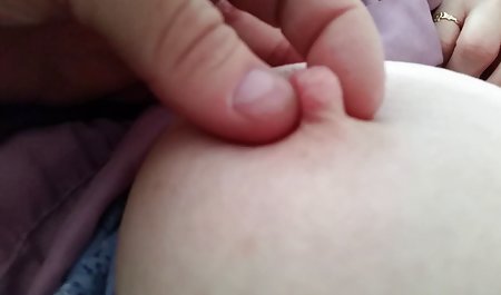 클래식 컬렉션 성 단단한